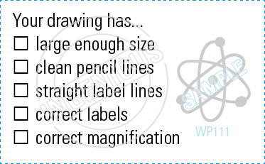 TotallyIngenious Science Stamps Biology-RMS04367041