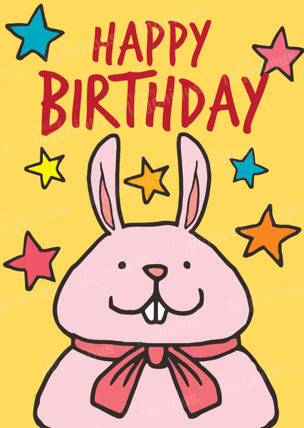 TotallyIngenious Birthday Cards Birthday Cards - BC22