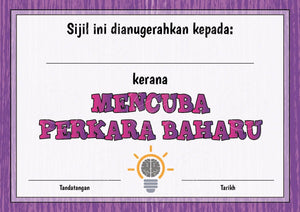 TotallyIngenious Certificates Growth Mindset - CGMSML3