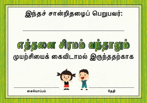TotallyIngenious Certificates Growth Mindset - CGMSTL2