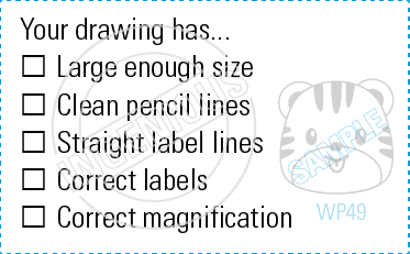 TotallyIngenious Math Stamps Mathematics-RMMA04367011